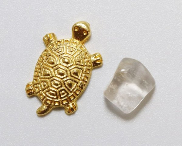 画像3: 縁起物 招福 銭亀 原石 ゴールドルチル入り ブラジル産 GD 邪気を跳ね返す 長寿 金運アップ 恋愛運アップ 品番: 15730 (3)