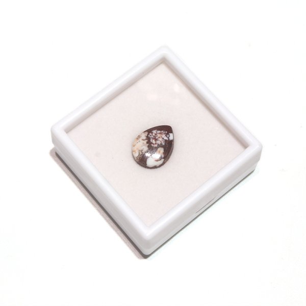 画像5: ルース ワイルドホース ドロップカット 約12×16mm アメリカ産 ケース付き 幸運 奇跡 大地のエネルギー 天然石 品番:16196 (5)