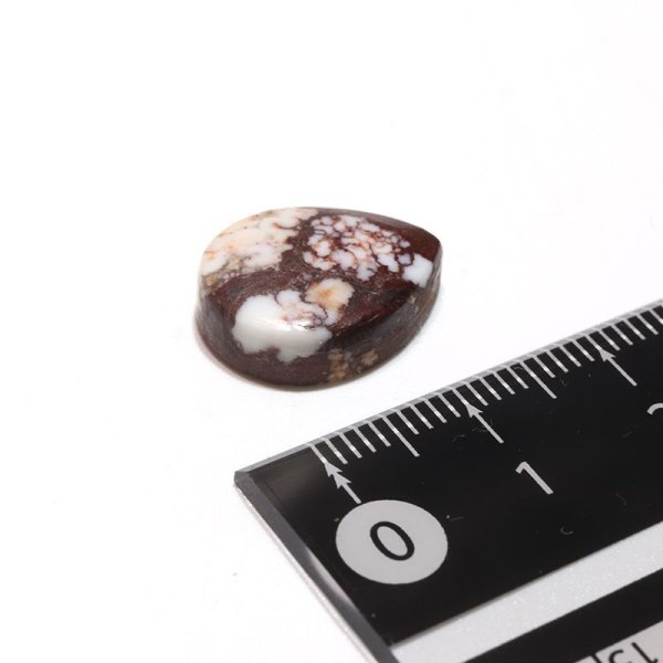 画像4: ルース ワイルドホース ドロップカット 約12×16mm アメリカ産 ケース付き 幸運 奇跡 大地のエネルギー 天然石 品番:16196 (4)