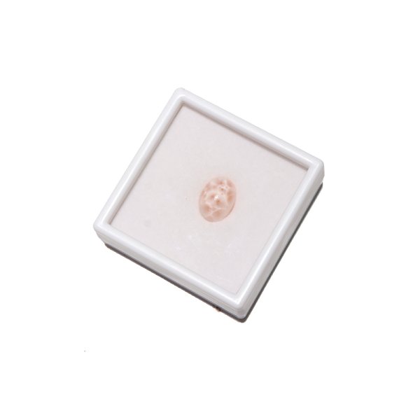 画像5: ルース トムソナイト オーバルカット 約11×14mm インドネシア産 ケース付き 不安をやわらげる 浄化 天然石 品番:16214 (5)