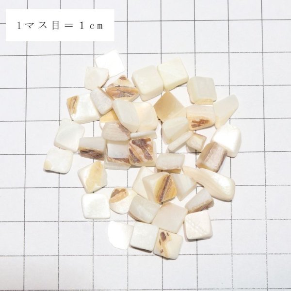 画像3: さざれ　シェル　パッケージ付き　約100g　浄化　癒し　母性　包容力　天然石　品番：16250 (3)