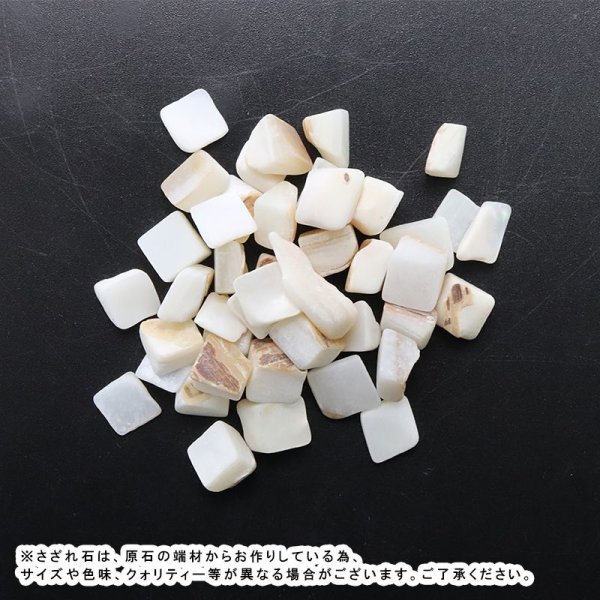 画像2: さざれ　シェル　パッケージ付き　約100g　浄化　癒し　母性　包容力　天然石　品番：16250 (2)