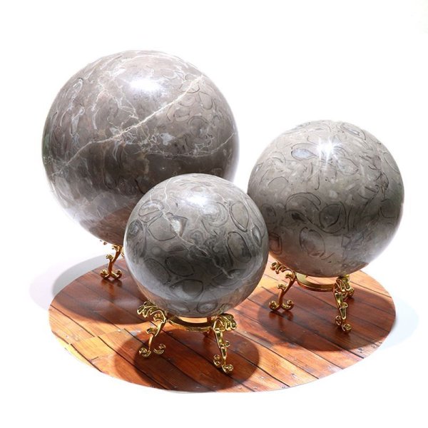 画像5: 置物 丸玉 フォシルクリノイド 約15cm 中国産 ウミユリの化石 貝 フォシルコーラル 浄化 癒し パワーストーン 天然石 品番:16600 (5)