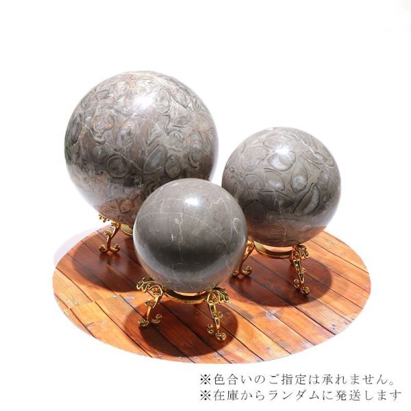 画像4: 置物 丸玉 フォシルクリノイド 約15cm 中国産 ウミユリの化石 貝 フォシルコーラル 浄化 癒し パワーストーン 天然石 品番:16600 (4)