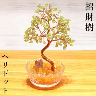 70726f647563742f32303234303532