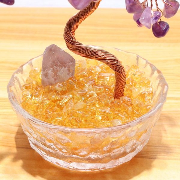 画像3: 招財樹 植木 アメジスト 金のなる木 風水 財運 健康運 仕事運 縁起物 置物 インテリア パワーストーン 天然石 品番:17295 (3)