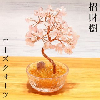 招財樹 植木 水晶 金のなる木 風水 財運 健康運 仕事運 縁起物 置物