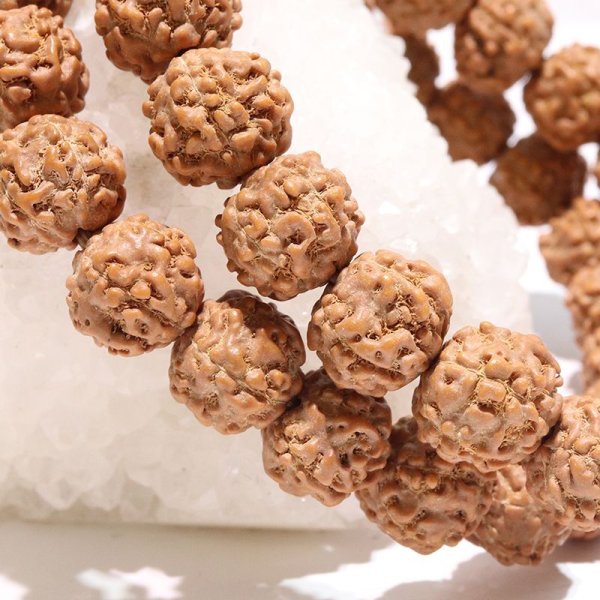 画像4: 【パワーズウッド】ブレス　金剛菩提樹＜インド、ネパール、インドネシアなど＞　丸　約10〜11mm　強い浄化力　自己が秘めた能力の開発　品番：17830 (4)