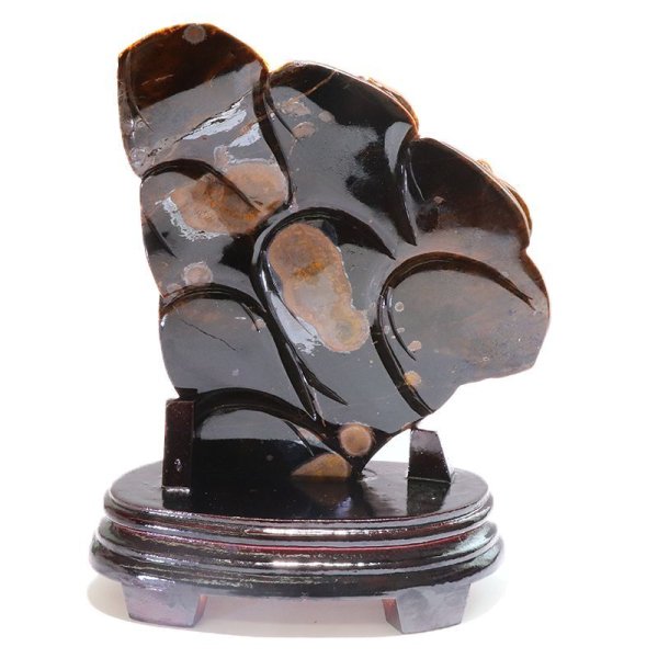 画像5: 【一点物】置物　タイガーアイ　龍　アフリカ産　台付き　風水　家庭円満　出世　商運　財運　金運　仕事運　お守り　パワーストーン　天然石　品番：17863 (5)