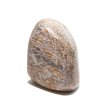 画像2: 【現品限り】原石　ダイナソーボーン　約4〜6cm　アメリカ産　化石　フォッシル　1個　パワーストーン　天然石　品番：18104 (2)