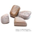 画像3: 【現品限り】原石　ダイナソーボーン　約4〜6cm　アメリカ産　化石　フォッシル　1個　パワーストーン　天然石　品番：18104 (3)