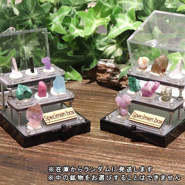 画像2: 置物　鉱物　標本BOX　原石　雑貨　インテリア　ランダム発送　品番：18935 (2)